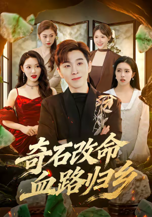 奇石改命血路归乡（81集）精彩短剧片段