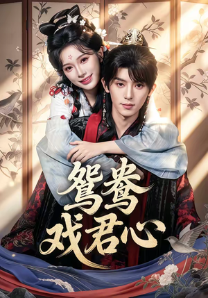 鸳鸯戏君心（60集）短剧推荐来了
