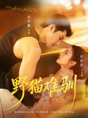 野猫难驯（73集）最新热剧免费看