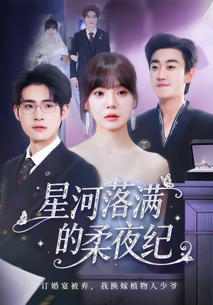 星河落满的柔夜纪（88集）短剧免费看全集