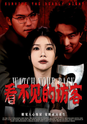 看不见的访客（62集）热门短剧免费看