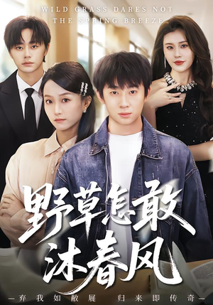 野草怎敢沐春风（61集）超级好看的短剧