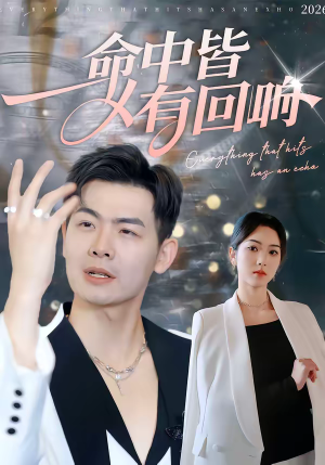 命中皆有回响（62集）精彩短剧抢先看