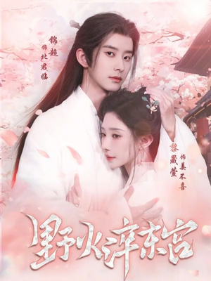 野火淬东宫（76集）精彩的网络短剧