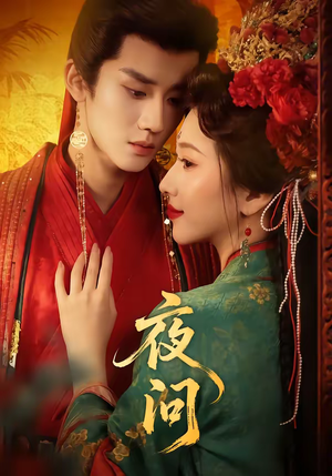 夜问（60集）分享好看短剧