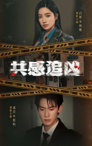 共感追凶（60集）最后的大结局