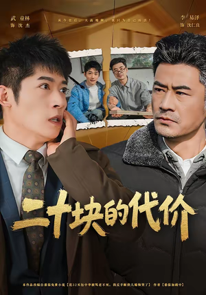 二十块的代价（64集）更新时间一览表