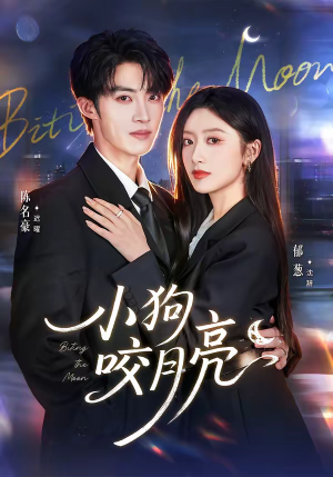 小狗咬月亮（66集）免费观看全集