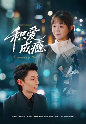 积爱成瘾（79集）免费看