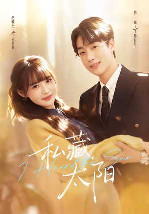 私藏太阳（91集）第一季