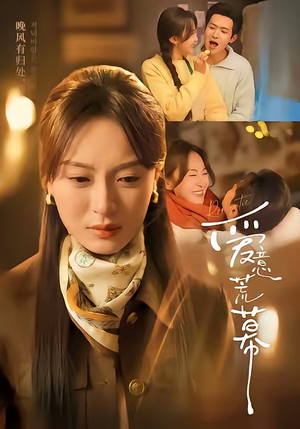 爱意荒幕(70集) 爱意荒幕(70集)短剧每日分享