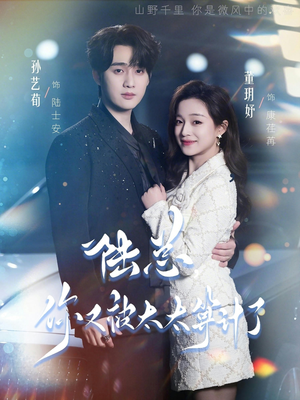 陆总，你又被太太算计了（70集）网络小短剧