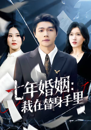 七年婚姻：栽在替身手里（80集）好看又上头短剧