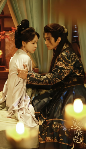 皇后赐宠（22集）好看的短剧推荐