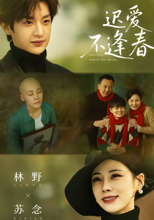 迟爱不逢春（62集）最火短剧热播