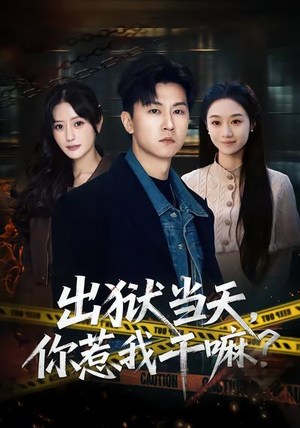 出狱当天,你惹我干嘛?(62集) 出狱当天,你惹我干嘛?(62集)海量资源免费看