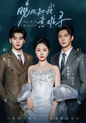 晚风知我意难寻（60集）在哪个app能看