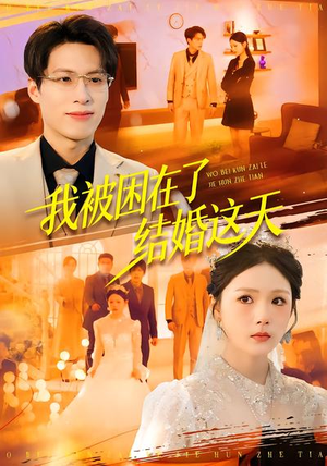 我被困在了结婚这天(40集) 我被困在了结婚这天(40集)免费短剧资源