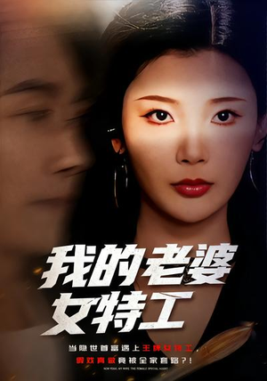 我的老婆女特工（62集）短剧在哪里看