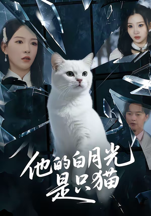 他的白月光是只猫（69集）热播短剧排行榜