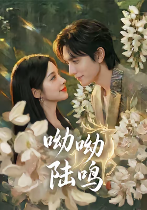 呦呦陆鸣（67集）免费短剧资源