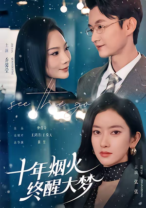 十年烟火，终醒大梦（60集）看过的人都说好