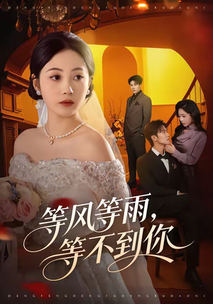 等风等雨，等不到你（65集）热门短剧追到爽