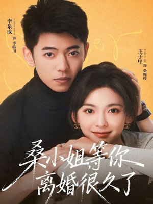 桑小姐，等你离婚很久了（70集）网盘在线观看