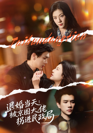 退婚当天：被京圈大佬拐进民政局（80集）短视频追剧推荐