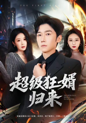 超级狂婿归来（81集）免费热门短剧