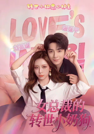 女总裁的转世小奶狗（30集）爆火短剧推荐