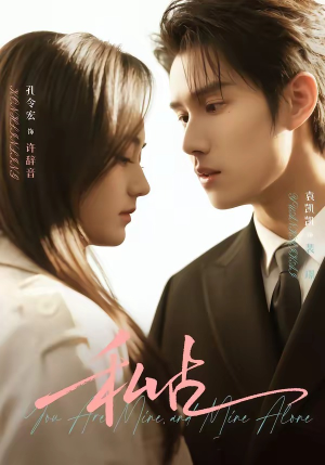 私占（63集）精彩热门短剧