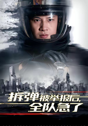 拆弹被举报后，全队急了（50集）每日分享短剧