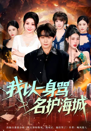 我以一身骂名护海城（79集）夸克在线观看