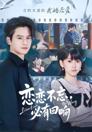 恋恋不忘，必有回响（80集）精彩热门短剧