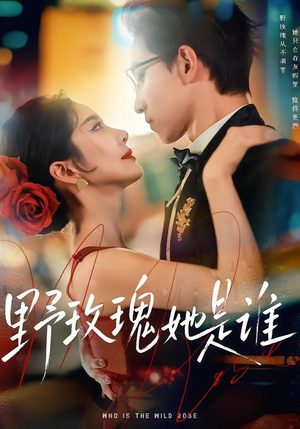 野玫瑰她是谁（84集）简直不要太好看