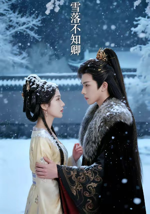 雪落不知卿（62集）精彩短剧热播
