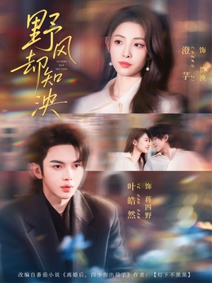 野风却知泱（80集）甜宠短剧追到爽