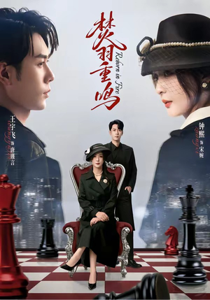 焚羽重鸣（60集）热门短剧在线看