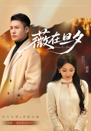 薇在旦夕（80集）河马免费短剧