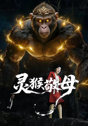 灵猴敬母（50集）在线看完整版