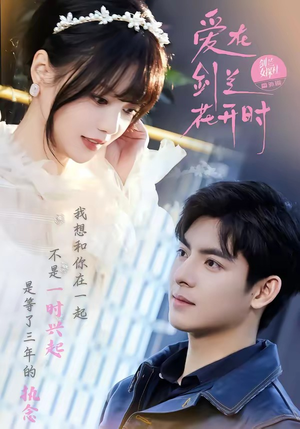 爱在剑兰花开时（56集）全集免费