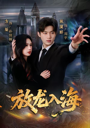放龙入海（62集）短剧全集免费看