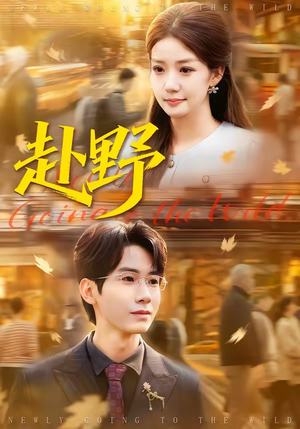 赴野（40集）精彩短剧随心推