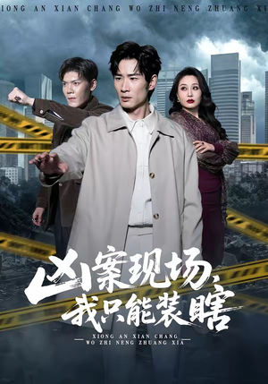 凶案现场，我只能装瞎（72集）第三季