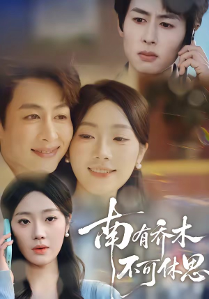 南有乔木，不可休思（68集）好看上头短剧