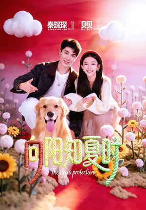 向阳知夏时（80集）第一集