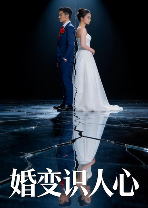 婚变识人心（54集）更新时间