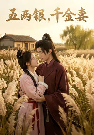 五两银，千金妻（60集）精彩短剧追不停