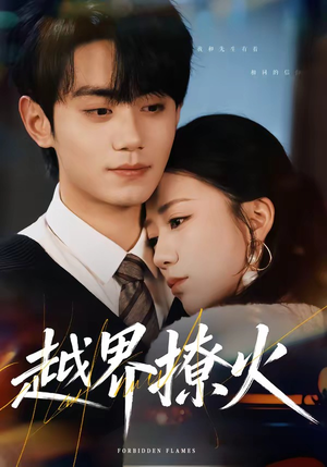 越界撩火（64集）短剧追不停